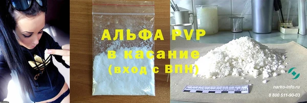 мдпв Богданович
